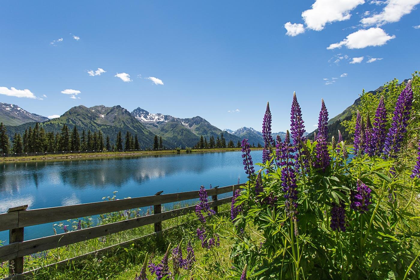 A picturesque landscape with purple flowers along the shore of a clear lake. In the background, majestic mountains rise under a blue sky.