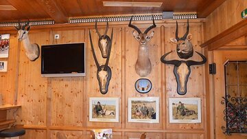 Eine rustikale Wand in einem Holzraum mit verschiedenen Tierpräparaten und Bildern. Es gibt einen Fernseher und einen Tisch im Vordergrund.