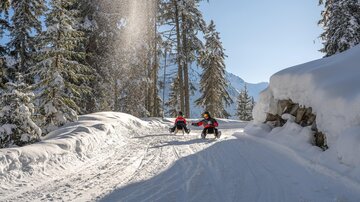 Zwei Personen fahren auf Schlitten eine verschneite Piste entlang. Umgeben von hohen, schneebedeckten Bäumen und klarem Himmel.